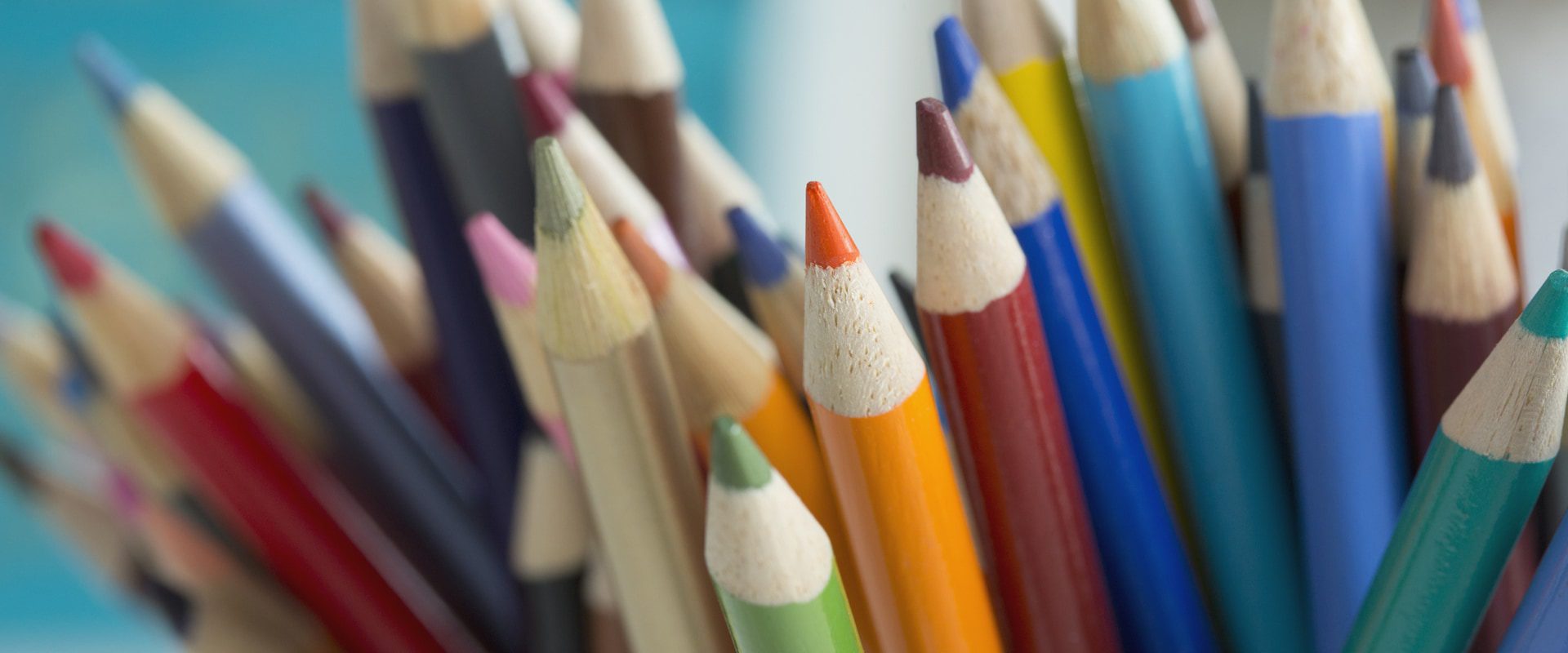 A close-up of many sharpened colored pencils in various colors.