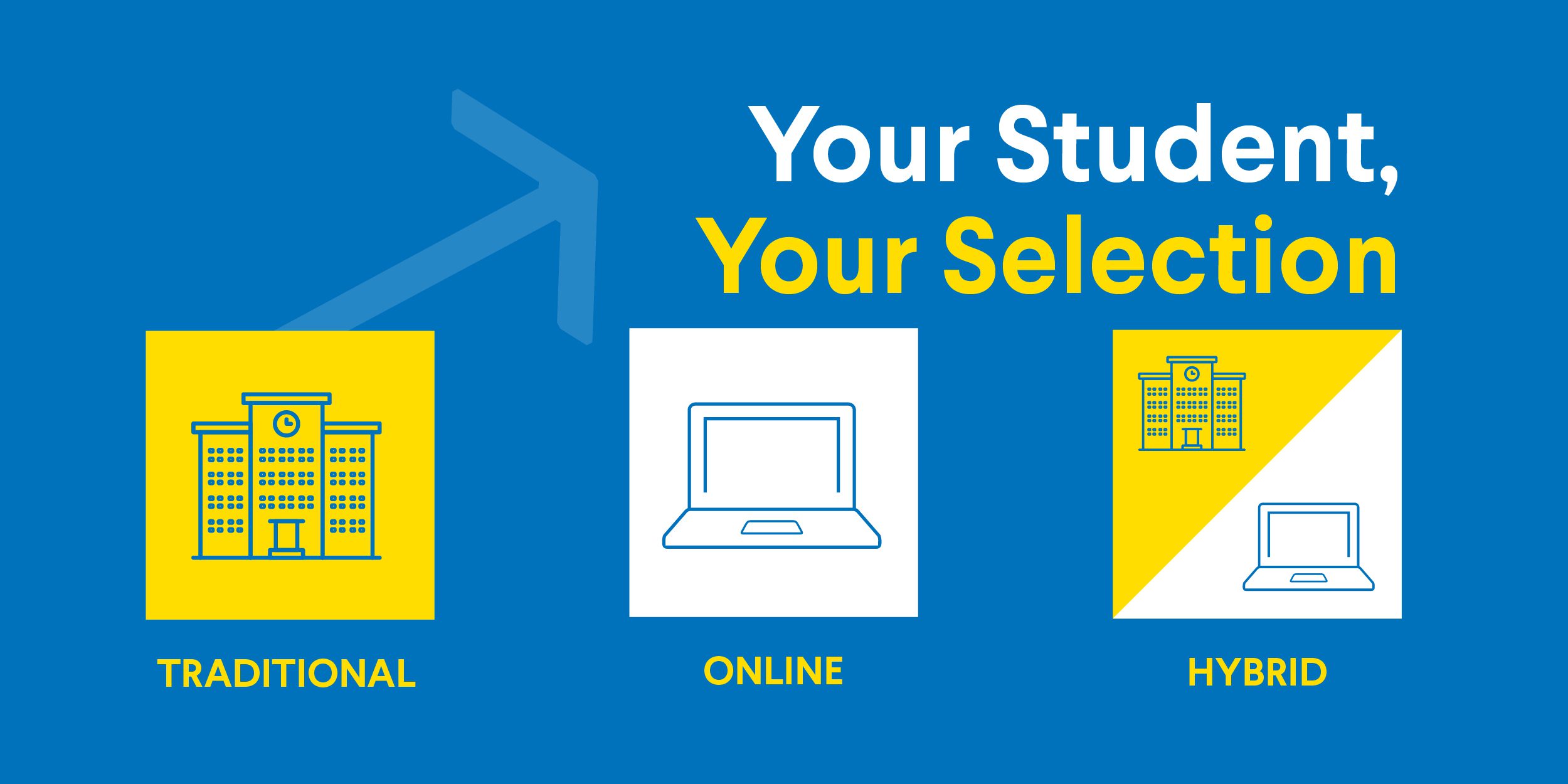 Infographic showing traditional, online, and hybrid education options.