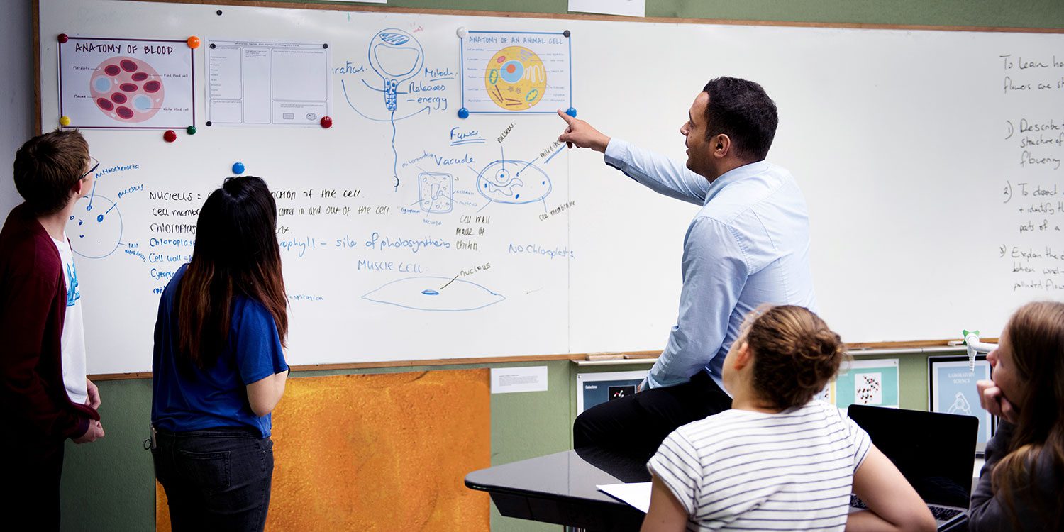 Adult pointing at a whiteboard with cell diagrams, children watching.