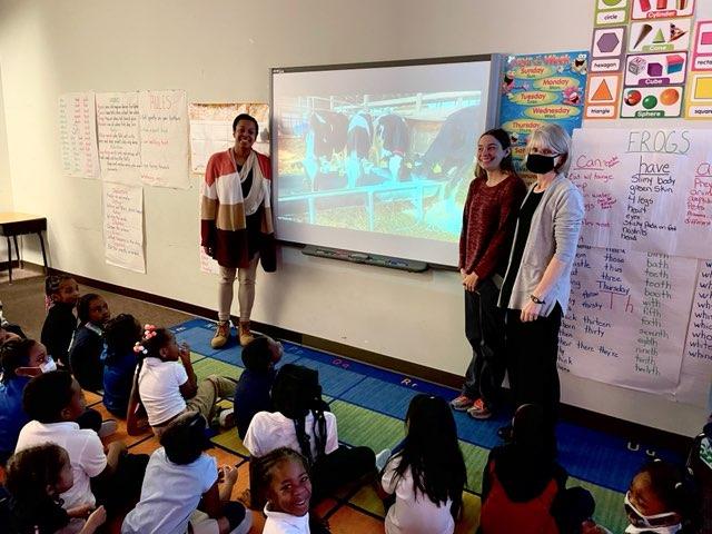 Adults and children in a classroom, presentation about cows on screen.