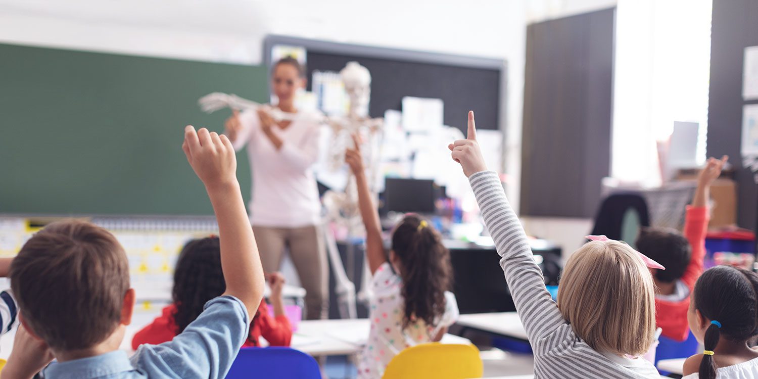 Children raising hands in a classroom with an adult and skeleton model.